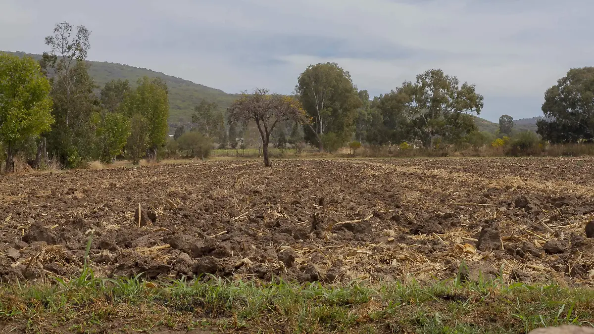 La Dirección de Desarrollo Rural Sustentable de Tequisquiapan emite recomendaciones